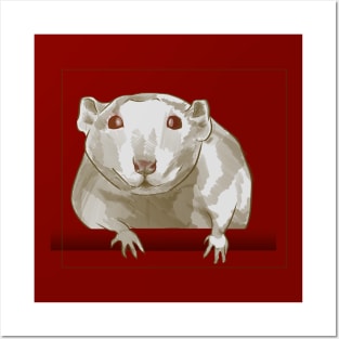 a rat Posters and Art